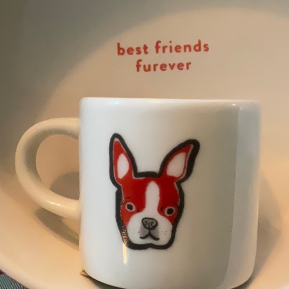 BFF Boston terrier ceramic coaster - Picture 5 of 7